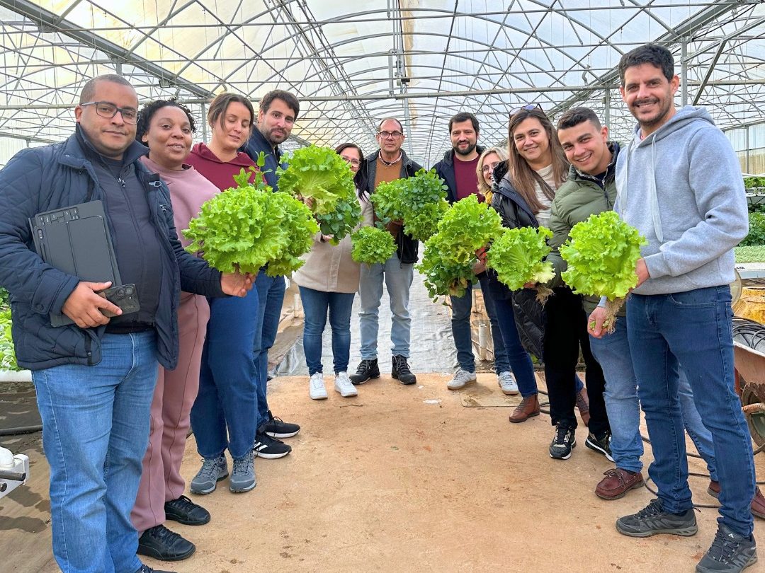 Grupo de formandos com alfaces hidrop&oacute;nicas acabadas de colher na estufa