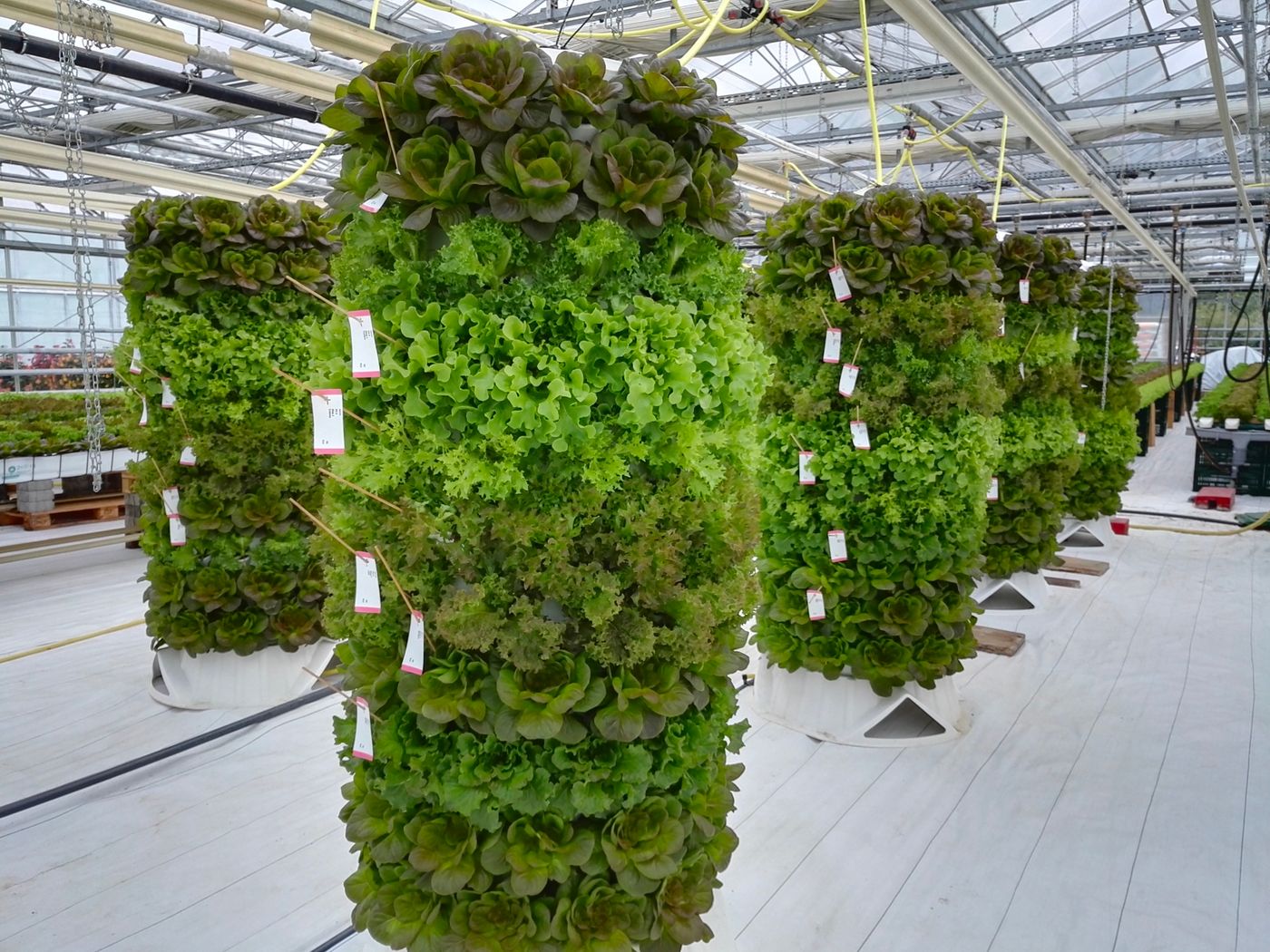 Torres verticais de cultivo em estufa